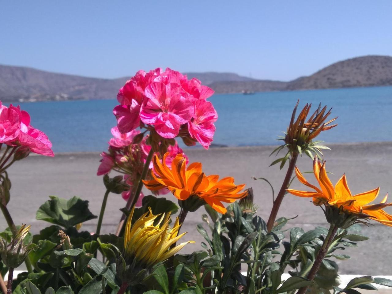Hiona Seaside Apartment Elounda Екстериор снимка